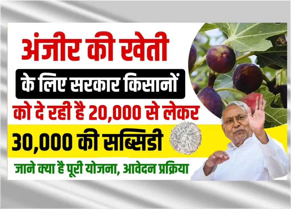 Bihar Anjeer Vikas Yojana