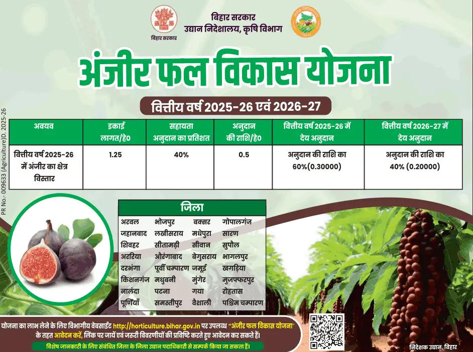 Bihar Anjeer Vikas Yojana